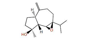 6b,7b-Epoxy-10(14)-guaien-4b-ol